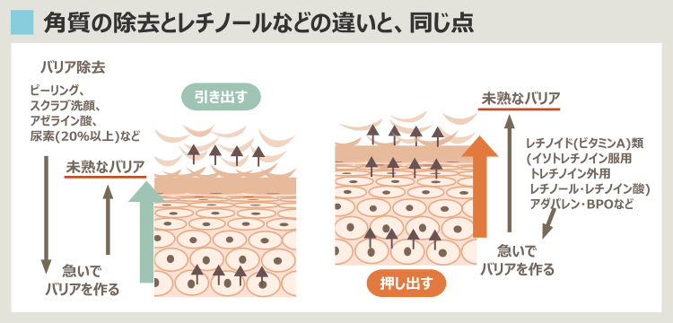 レチノールも角質除去も正常なバリアを作れない